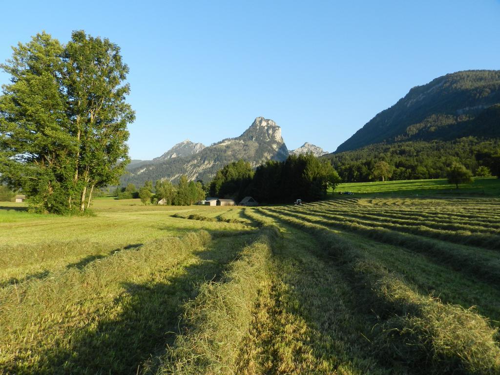 Gasthof Wiesenhof Strobl Exterior photo